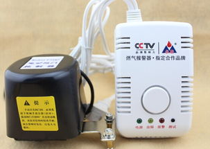 永康牌家用燃?xì)鈭缶?專業(yè)制造商與安全守護(hù)者